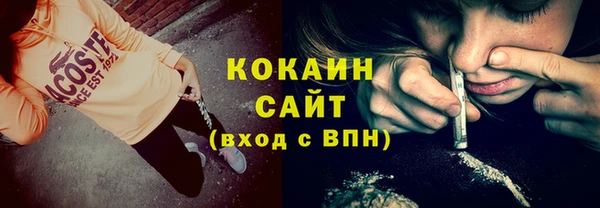 гашик Надым