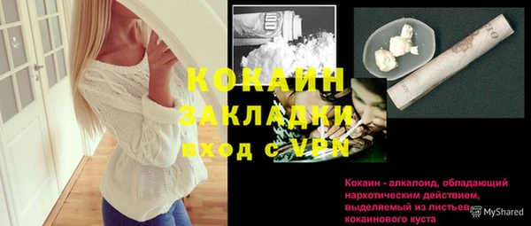 гашик Надым