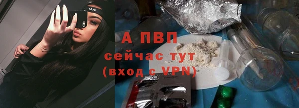 гашик Надым