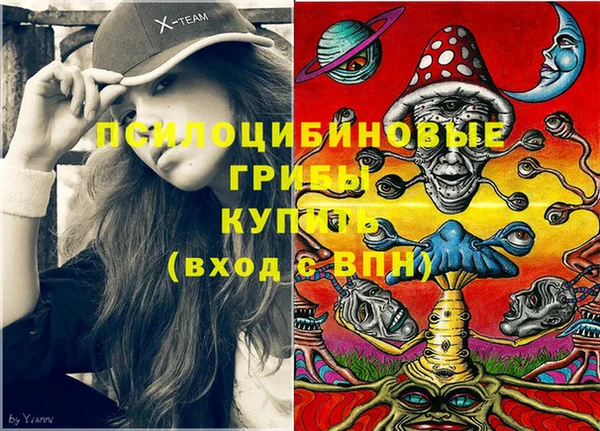 гашик Надым