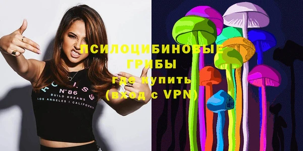гашик Надым