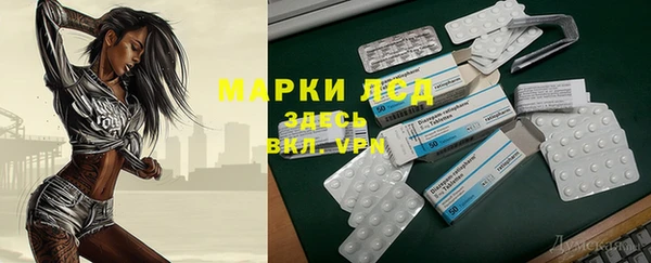 гашик Надым
